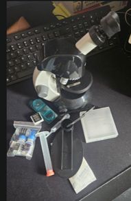 Microscope