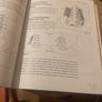 Deep Tissue Massage: A Visual Guide to Techniques Image 5
