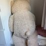 Big teddy bear Image 3