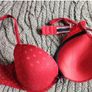 Red Bra Image 9