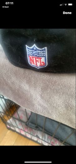 Jacksonville jaguars