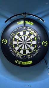 dartboard light and surround