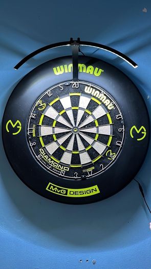 dartboard light and surround