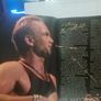 Sting Original Sacred Love 2004 World Tour Concert Program Photo Book Image 8