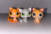 littlest pet shop (LPS) Kitten bundle!