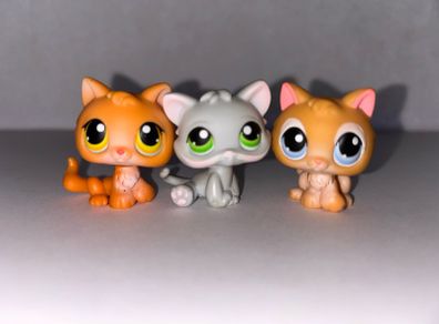 littlest pet shop (LPS) Kitten bundle!