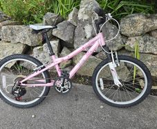 mystic 20 in girls bike