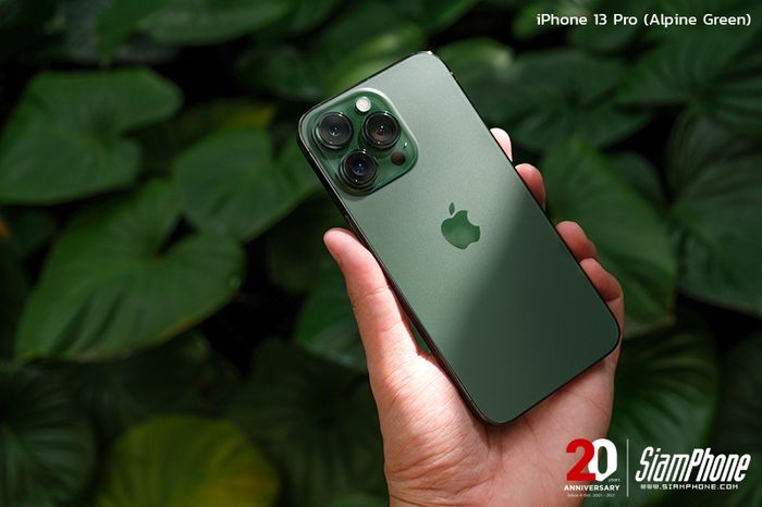 iPhone 13 Pro