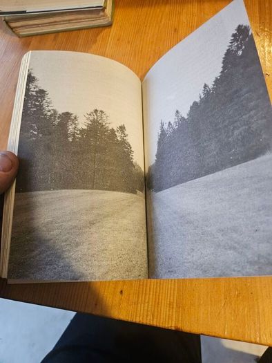 The Forests Of Ireland. History,distribution And Silviculture. Edited By The Royal Society Of Irish Foresters By Niall O'connor. First Edition Paperback In Good Condition   See Photos For Same.