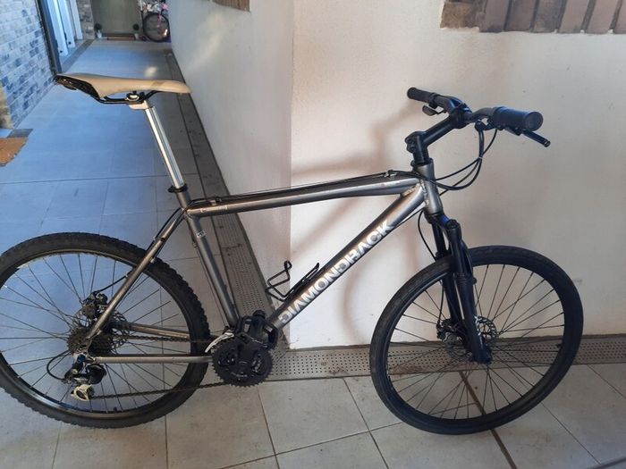 Hybrid Bike