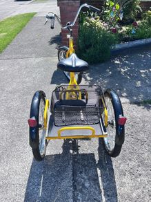 adult tricycle