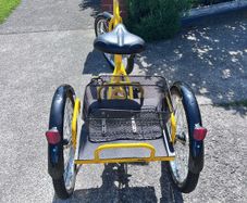 adult tricycle