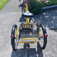 adult tricycle