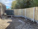 Garden Fencing Image 9