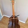 Taylor 818ce Electro Acoustic Image 6