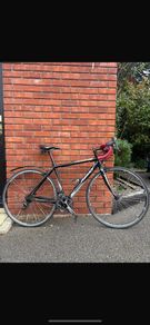 Ridley Tempo 105