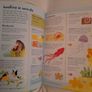 Junior Illustrated Science Dictionary Image 5