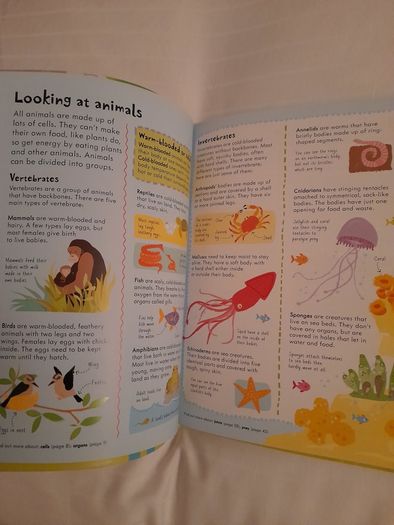 Junior Illustrated Science Dictionary