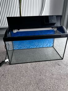 Fish tank