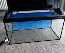 Fish tank