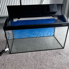 Fish tank