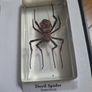 resin encased insects Image 4