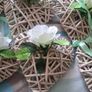 13 x Wicker Hear Decoartions Image 5