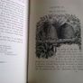 The Fairy-Land of Science by Arabella B. Buckley 1879 Image 7