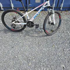 carbon bike