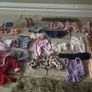 Generation Doll Bundle Image 7