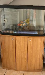 fishtank and stand