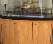 fishtank and stand