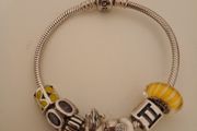 Pandora Bracelet with 7 Charms