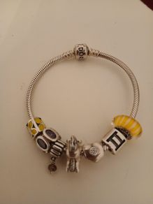 Pandora Bracelet with 7 Charms