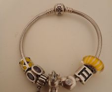 Pandora Bracelet with 7 Charms