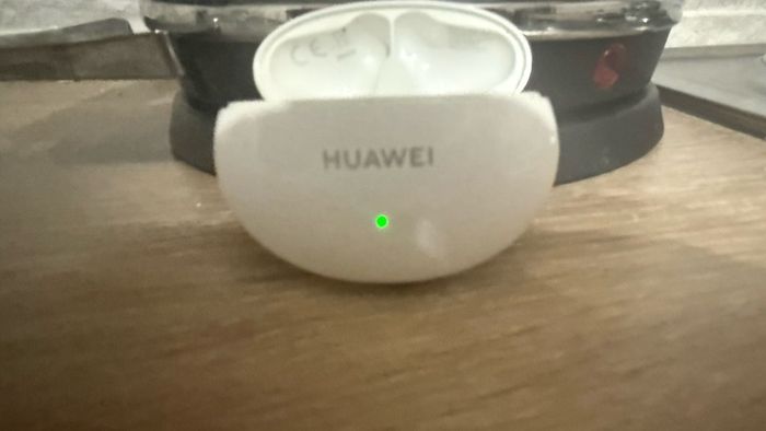 ear pods