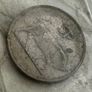 Irish 5p 1976 Image 2