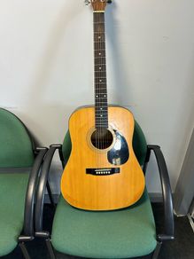 Tanglewood TW28 guitar