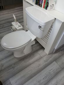 saniflo and toilet