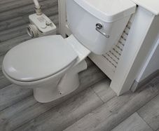 saniflo and toilet