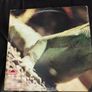 Iguana lp UK 1st press Image 3