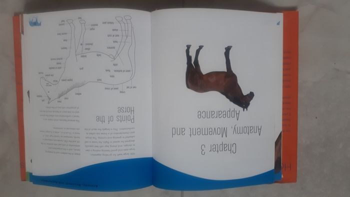The Handbook of Horse Breeds