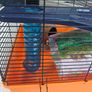 Hamster Cage Image 3
