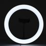 29144 10" LED Ring Light for Phone Camera Live Makeup Video Image 8