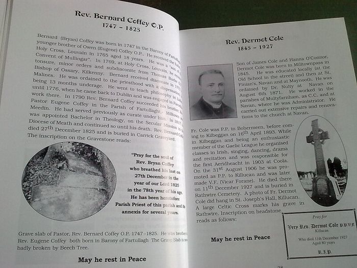 Light from the Bridge Ireland Irish Rochfortbridge Westmeath Genealogy History