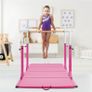 Double gymnastics bars Image 2