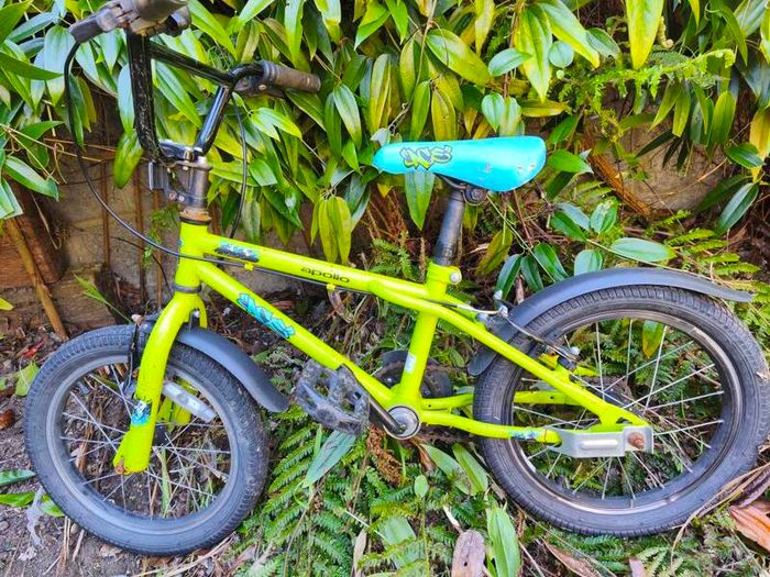 Bike