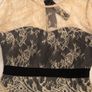 Lace /Navy Dress BNWT Image 3