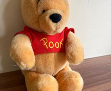 Winnie the Pooh