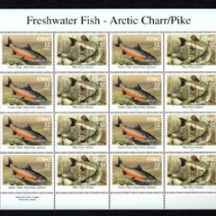 2001 Ireland Freshwater Fish (Perch, Arctic Charr, Pike & Bream) Stamp Sheetlet Plate 1B1B1B1B Mint Never Hinged (MNH)